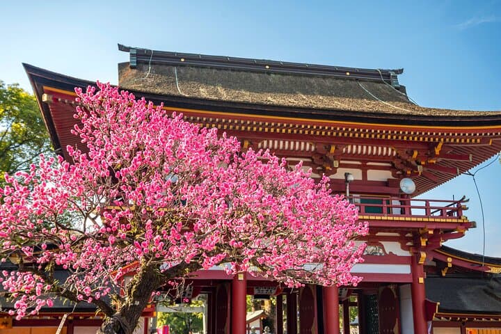 Dazaifu Bungo Mori Roundhouse Beppu Yufuin Private Tour — photo 6