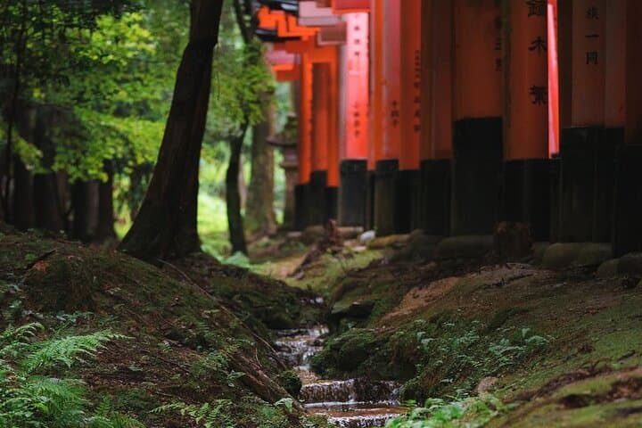 Kyoto and Nara Day Tour from Osaka — photo 7