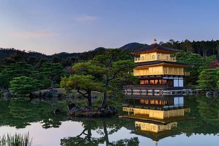 Kyoto and Nara Day Tour from Osaka — photo 8
