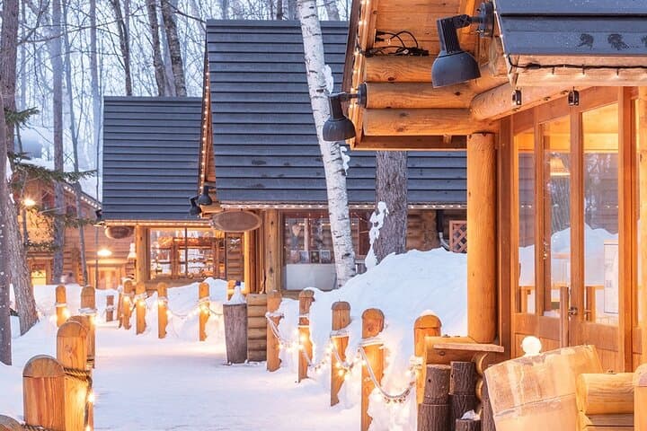 Hokkaido Day Tour from Sapporo: with Bear Park Option — photo 11