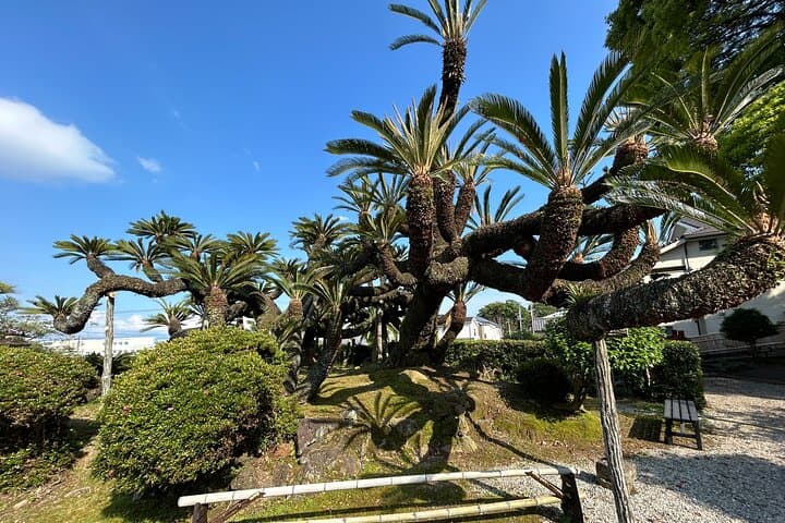 Step-Free Easy going tour from Shimizu Port / Van Taxi — photo 2