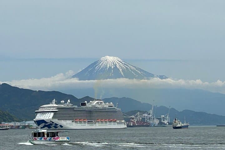 Step-Free Easy going tour from Shimizu Port / Van Taxi — photo 4
