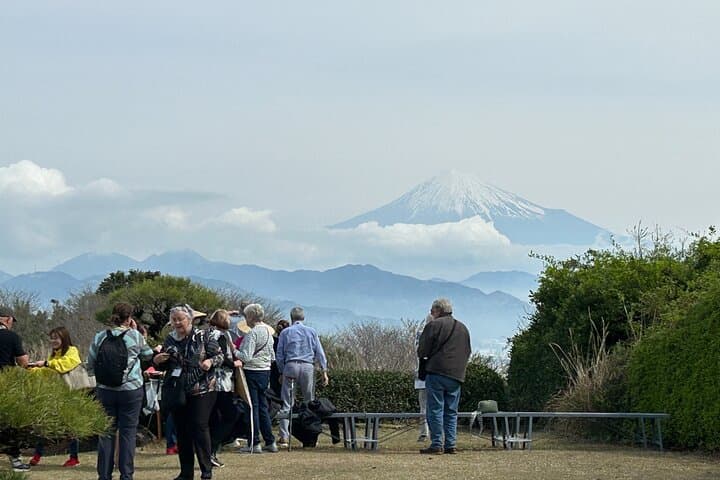 Step-Free Easy going tour from Shimizu Port / Van Taxi — photo 5