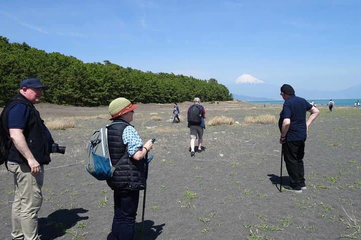 Step-Free Easy going tour from Shimizu Port / Van Taxi — photo 13