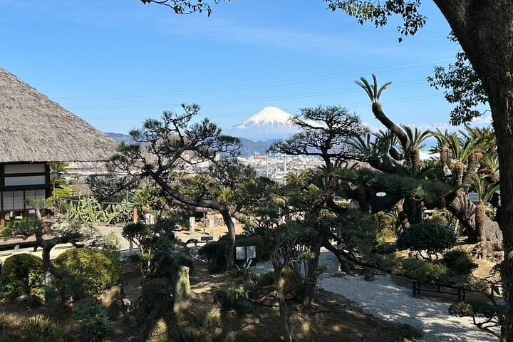 Step-Free Easy going tour from Shimizu Port / Van Taxi — photo 16