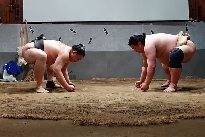 Tokyo 6hr Private Guided Tour & Sumo Show Lunch — photo 15