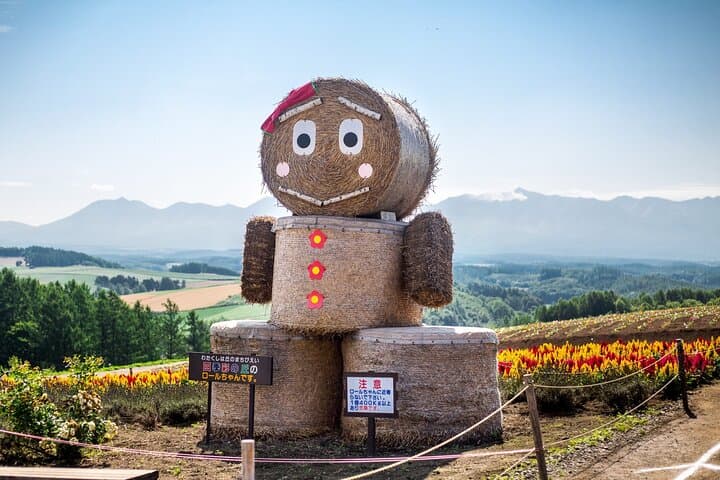 Hokkaido Day Tour Farm Tomita, Blue Pond, Blue Pond and Buffet — photo 7
