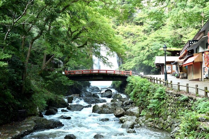 Osaka's Secret Adventures: Daruma Magic and Minoh Falls — photo 6