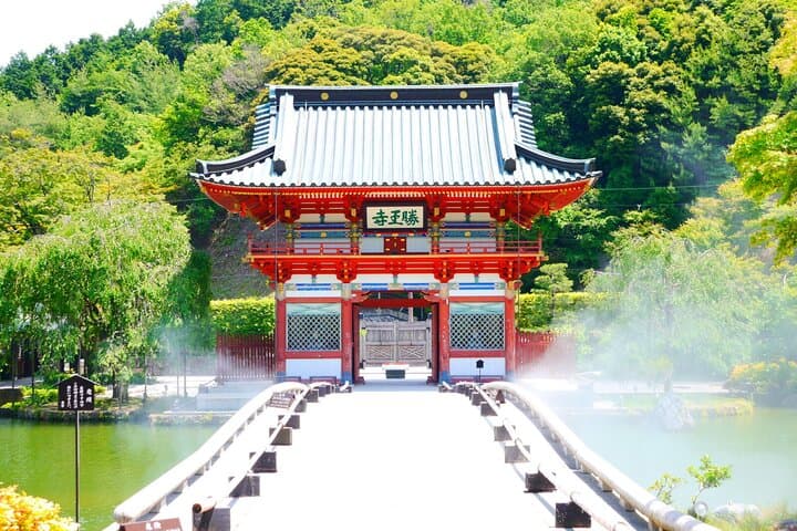 Osaka's Secret Adventures: Daruma Magic and Minoh Falls — photo 10