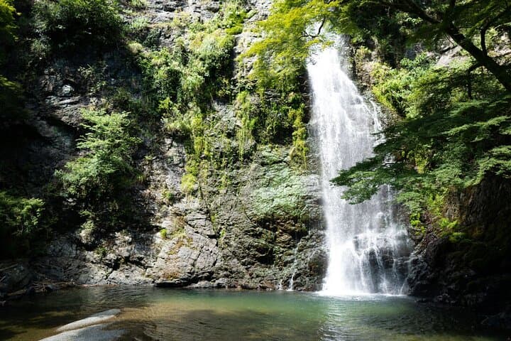 Osaka's Secret Adventures: Daruma Magic and Minoh Falls — photo 13