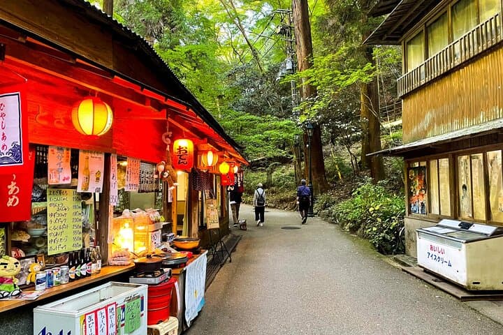 Osaka's Secret Adventures: Daruma Magic and Minoh Falls — photo 12