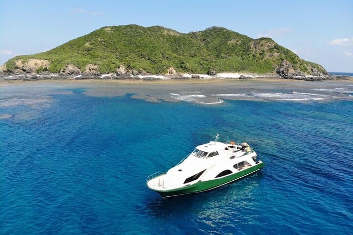 Okinawa/Naha:Full-Day Kerama Island Experience Diving/Snorkeling — photo 8