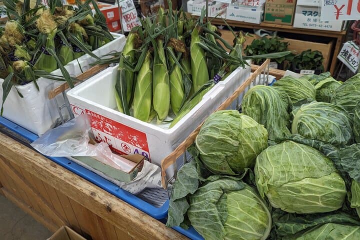 Stay in a Traditional Japanese House, Encounter Locals in Chiba — photo 17