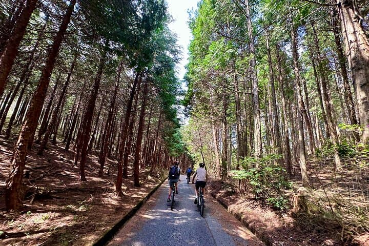 Hiroshima Country Cycling: Explore Rural Life by E-Bike — photo 9