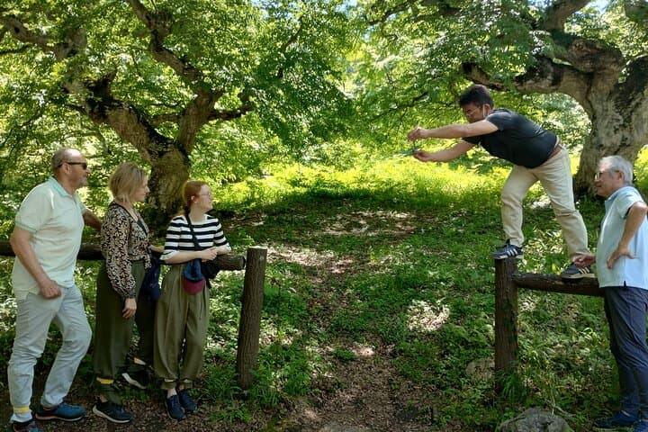 Hiroshima Country Cycling: Explore Rural Life by E-Bike — photo 17
