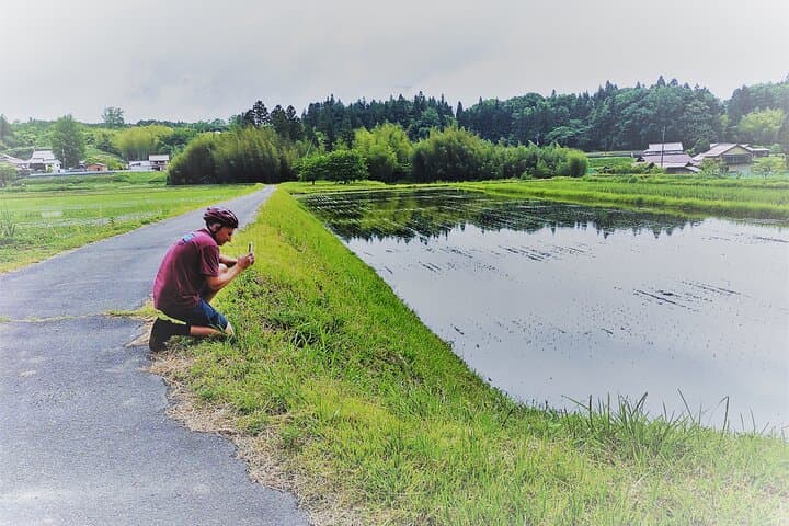 Hiroshima Country Cycling: Explore Rural Life by E-Bike — photo 11