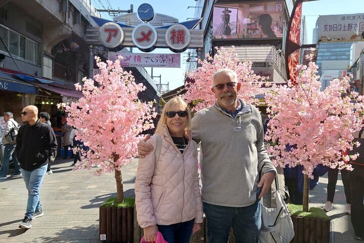 Tokyo 2-Day Private Walking Tour with Licensed Guide — photo 18