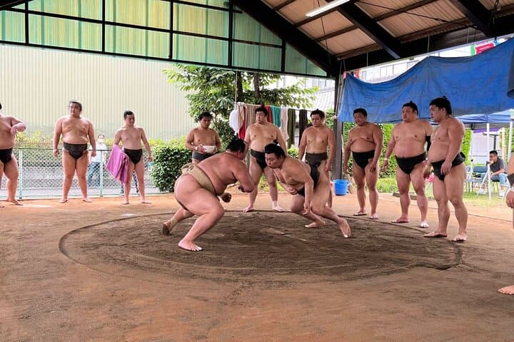 Skip the Line Ticket to Sumo Morning Practice at Nagoya — photo 4