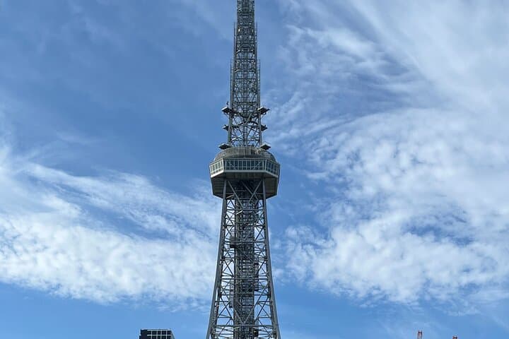 Nagoya: English-Guided Jogging Tour of the City (2 hours) — photo 11