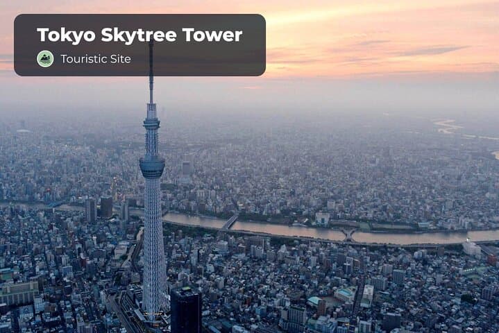 Tokyo Digital Guide — photo 7