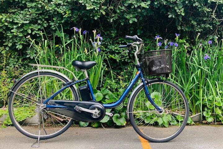 Okinawa E-bike Rental (CityCycle Type) — photo 4