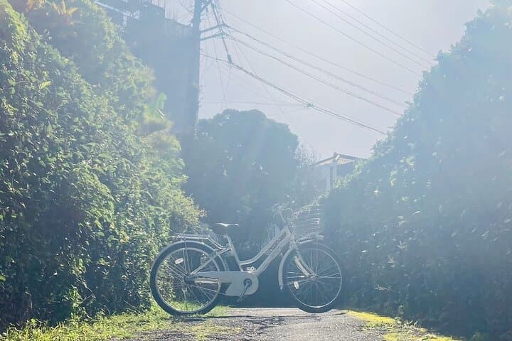 Okinawa E-bike Rental (CityCycle Type) — photo 2