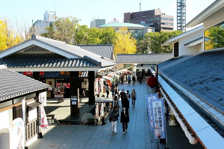 KUMAMOTO Half Day Highlights Tour with Ramen Lunch — photo 3