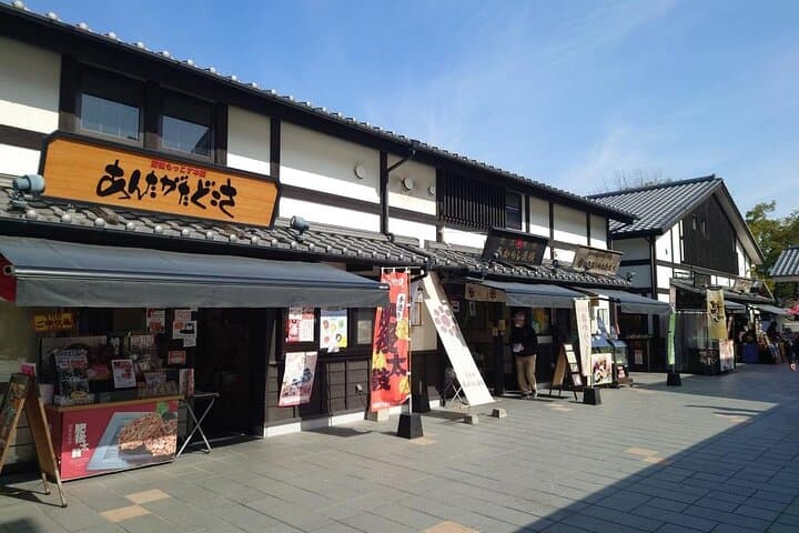 KUMAMOTO Half Day Highlights Tour with Ramen Lunch — photo 9