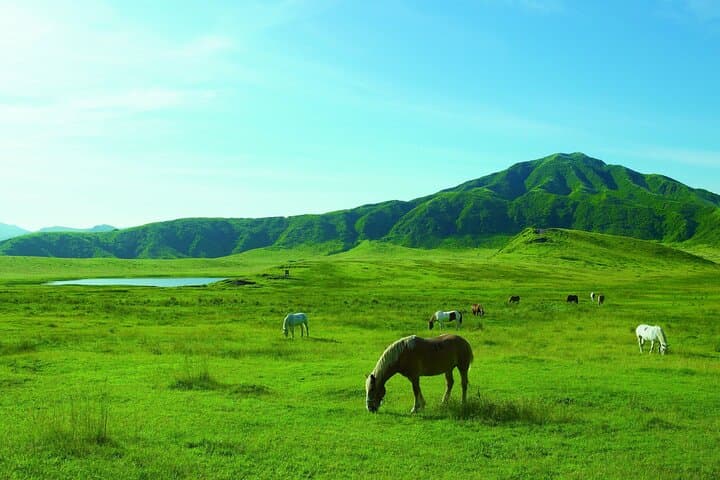 From Kumamoto : Mt.Aso and Takachiho All-inclusive Private Tour — photo 4