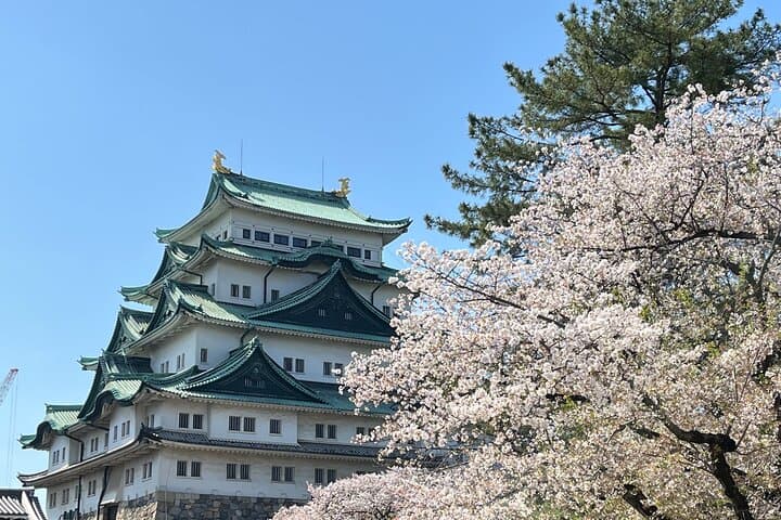 Nagoya: Best & Hidden Gems Private Guided Tour — photo 2
