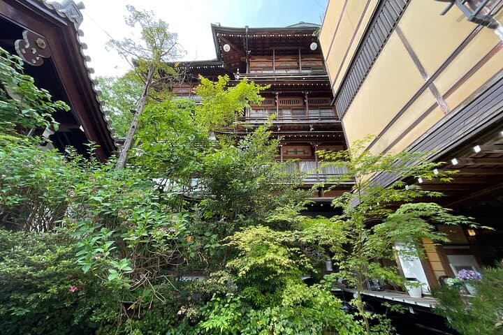 Green Season Snow Monkeys: Baby Monkeys & Scenic Forest Walk — photo 16