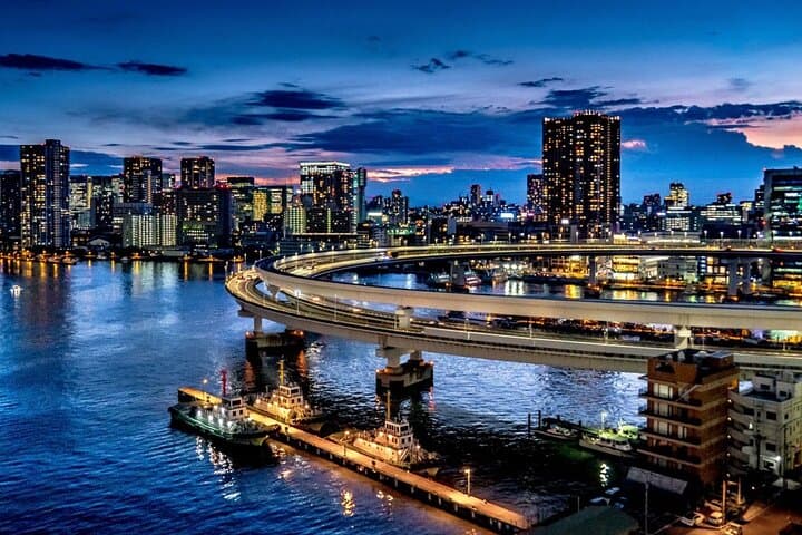 Tokyo Twilight Expedition Car Tour – Nighttime City Cruise! — photo 5