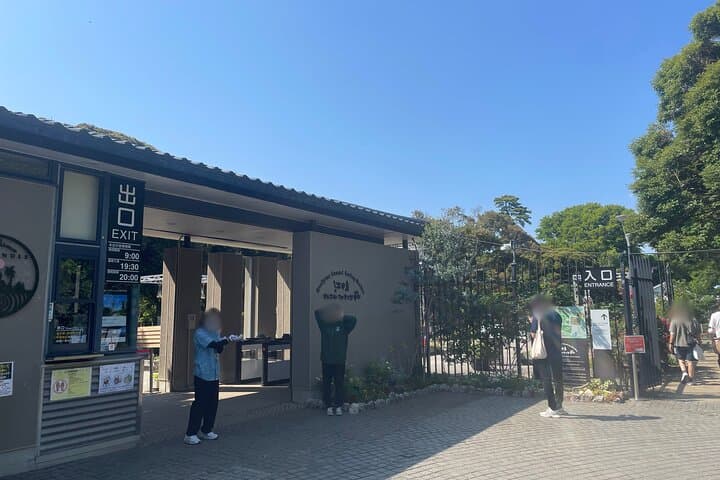 Gourmet Food and Temple Visit tour in Enoshima — photo 19