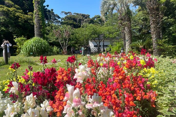 Gourmet and Historical Tour in Enoshima — photo 15