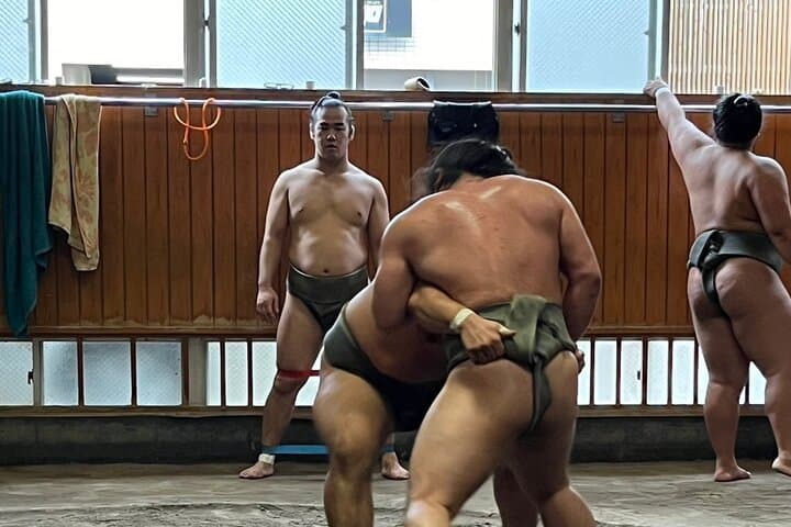 Tokyo: Visit Sumo Morning Practice with English Guide — photo 13