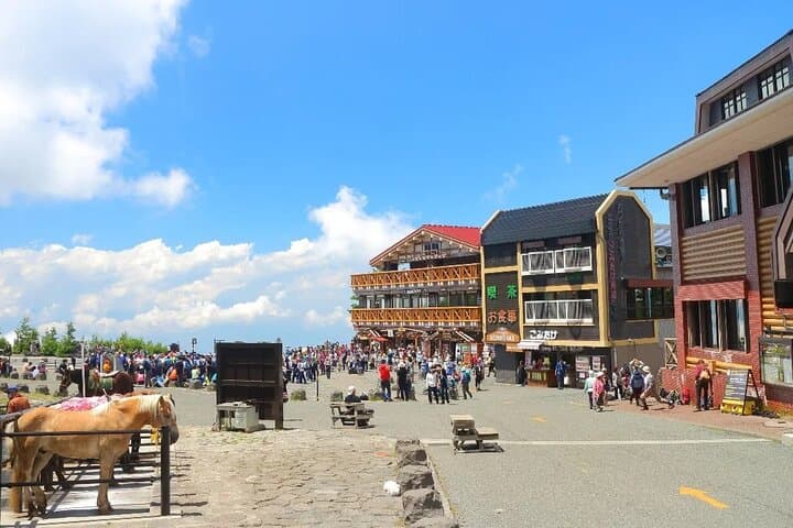 Mt. Fuji 5th.St Hakone & Gotemba Outlets with lunch from Tokyo — photo 2
