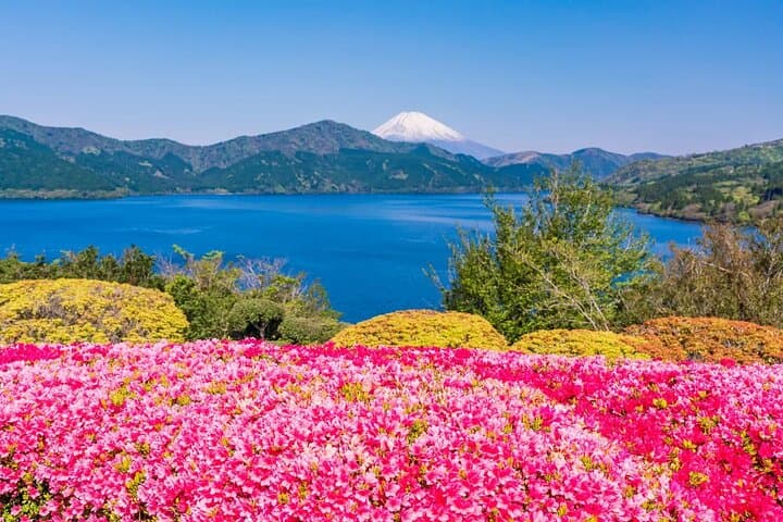 Mt. Fuji 5th.St Hakone & Gotemba Outlets with lunch from Tokyo — photo 4