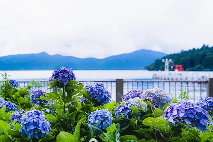 Mt. Fuji 5th.St Hakone & Gotemba Outlets with lunch from Tokyo — photo 5