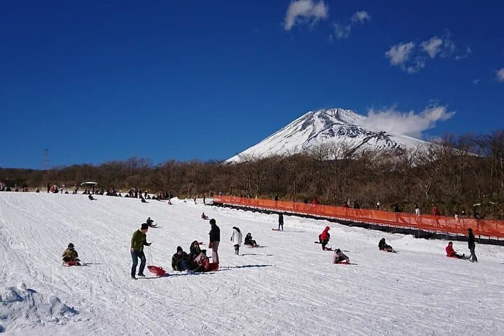 Mt. Fuji 5th.St Hakone & Gotemba Outlets with lunch from Tokyo — photo 8
