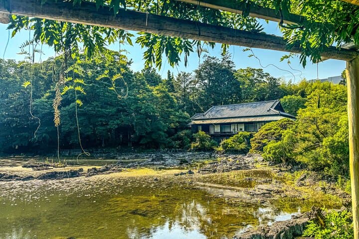 Bullet Train Experience & Mishima Shrine Private Tour from Tokyo — photo 8