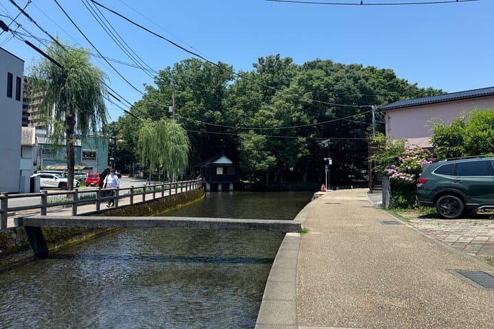 Bullet Train Experience & Mishima Shrine Private Tour from Tokyo — photo 9