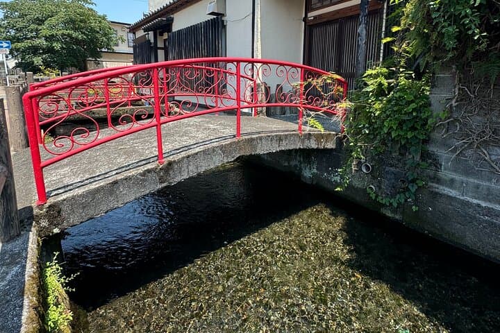 Bullet Train Experience & Mishima Shrine Private Tour from Tokyo — photo 10