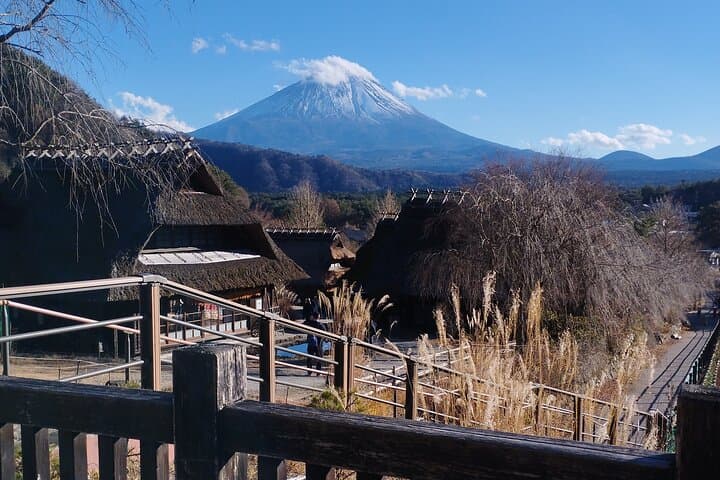 Customizable Hakone Private day Trip, English Speaking driver — photo 10