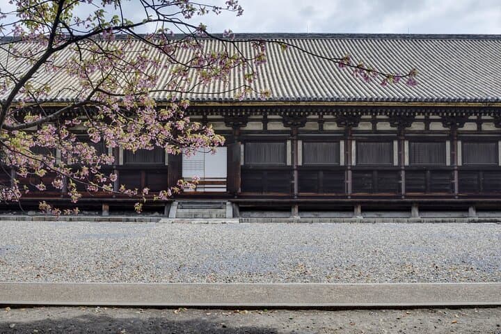 Let's enjoy Kyoto in a kimono! Visit the mysterious Fushimi Inari — photo 8