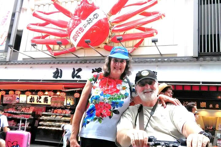 Barrier Free Osaka Private Full Day Tour for Wheelchair Users — photo 2