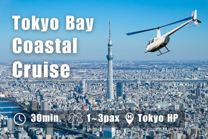 Tokyo Private Helicopter Tour– Asakusa, Skytree, Shibuya(30-Min) — photo 6