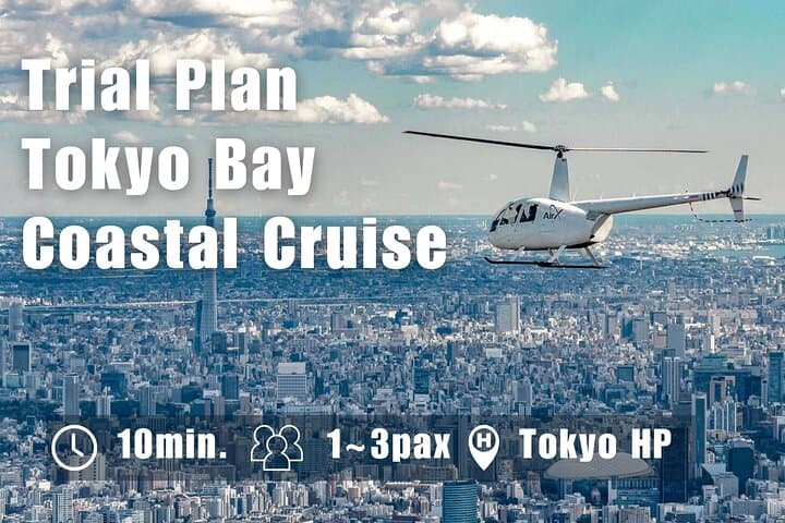 Private Helicopter Tour Over Tokyo Bay (10-Min) — photo 9