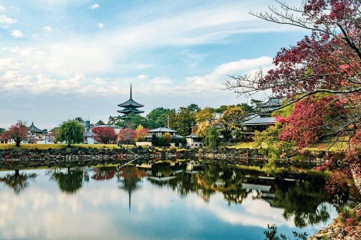 Nara Culinary Tour with a Chef! — photo 7