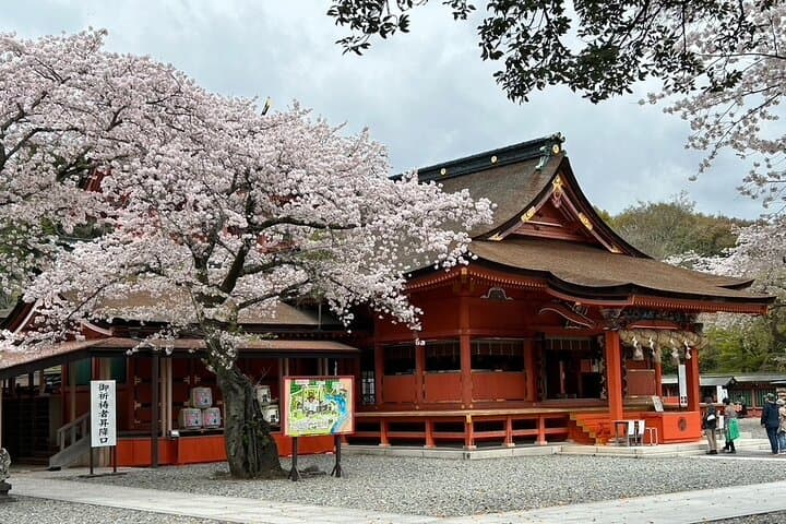 Mt.Fuji area Tour from Shimizu Port /Small Bus — photo 8