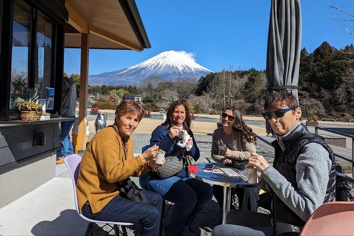 Mt.Fuji area Tour from Shimizu Port /Small Bus — photo 7